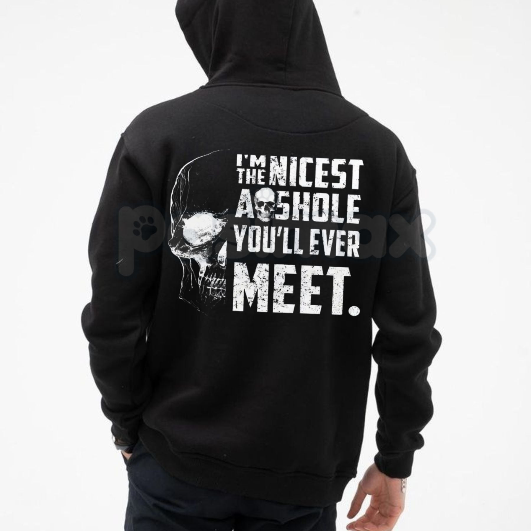 "I'M THE NICEST AS*HOLE YOU'LL EVER MEET" Funny Hoodie â Sarcastic Slogan Pullover, Blunt Humour Streetwear Sweatshirt, Unisex