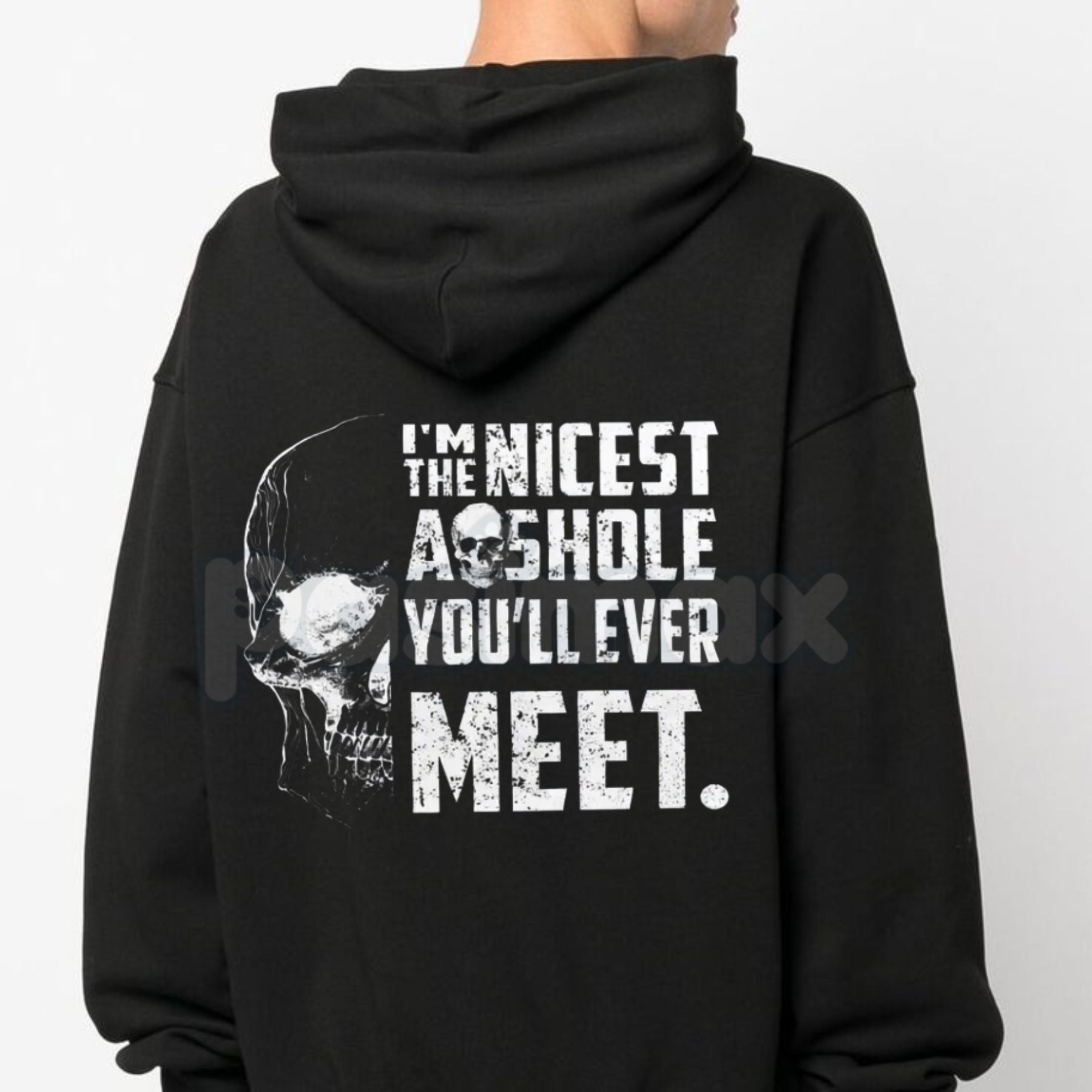"I'M THE NICEST AS*HOLE YOU'LL EVER MEET" Funny Hoodie â Sarcastic Slogan Pullover, Blunt Humour Streetwear Sweatshirt, Unisex