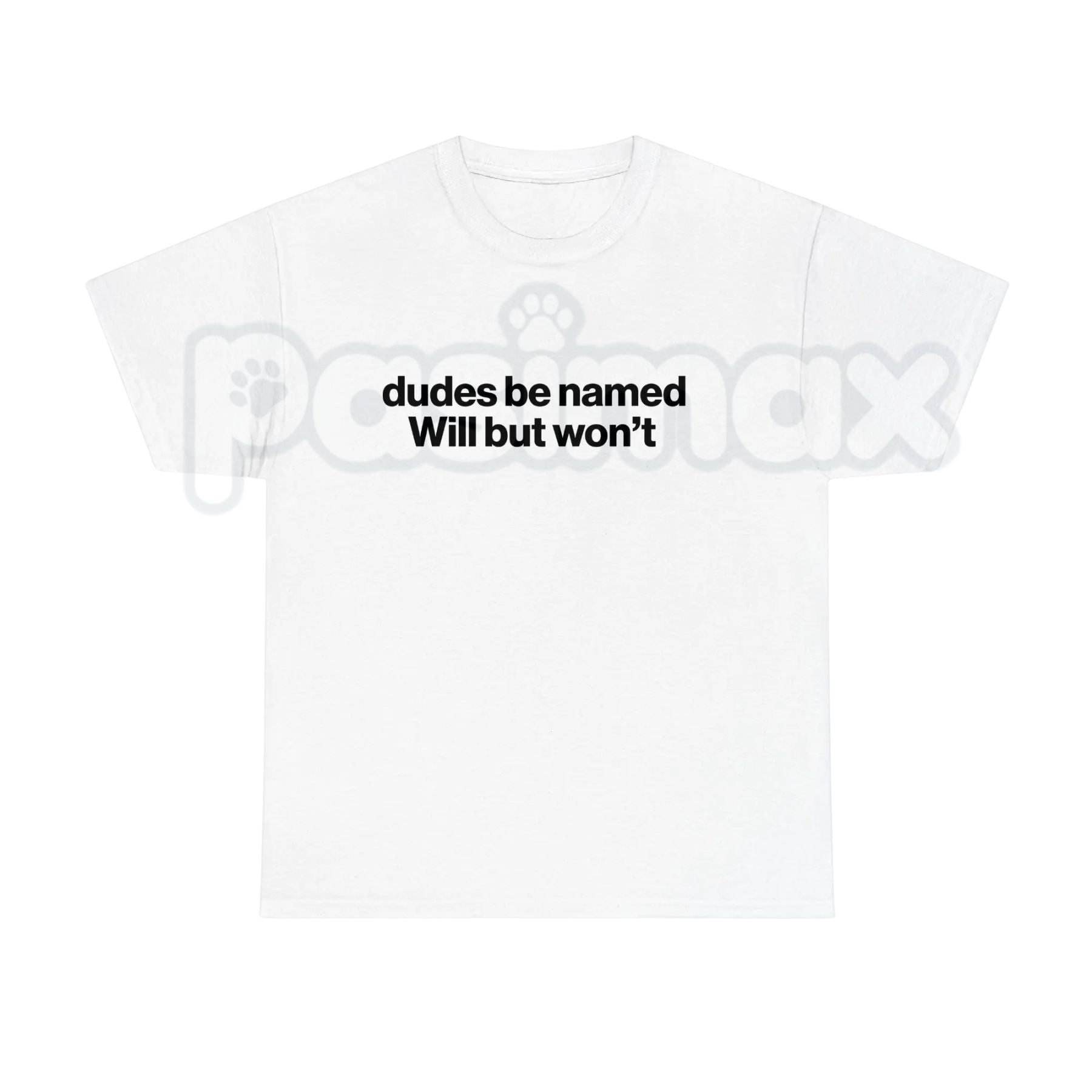 "Dudes Be Named Will But Won't" Funny T-Shirt â Sarcastic Wordplay Graphic Tee, Premium 100% Cotton Unisex Humorous Top, Soft Lived-In Heavyweight Meme Culture Shirt, Made in USA