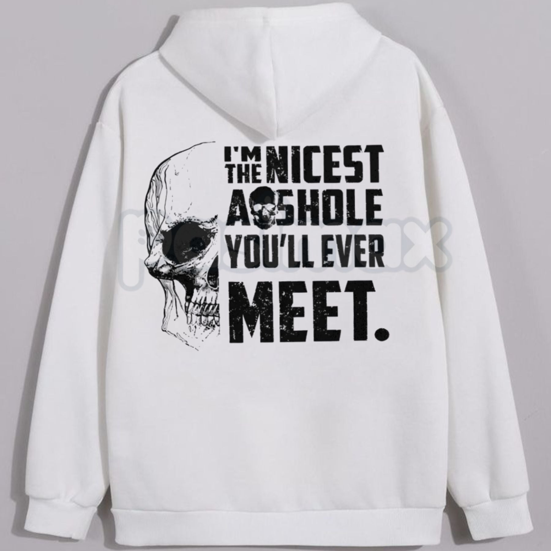 "I'M THE NICEST AS*HOLE YOU'LL EVER MEET" Funny Hoodie â Sarcastic Slogan Pullover, Blunt Humour Streetwear Sweatshirt, Unisex