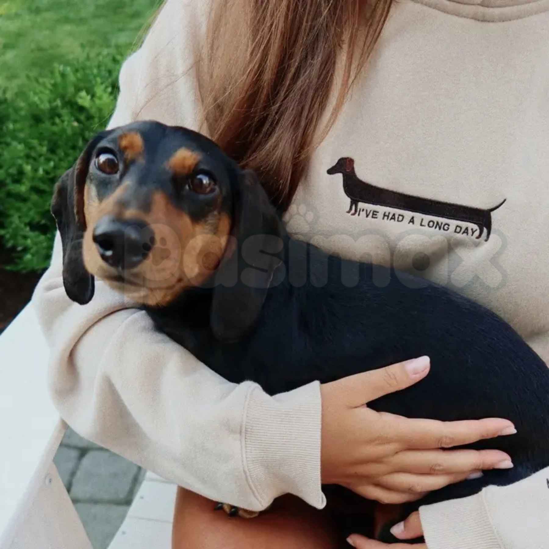 "I've Had A Long Day" Embroidered Unisex Hoodie â Premium Heavy Blend Cozy Loungewear